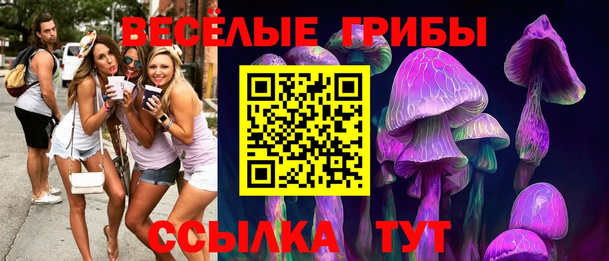 Галлюциногенные грибы Cubensis  Галлюциногенные грибы Magic Shrooms  где купить наркоту  Алатырь  Вход с VPN 
